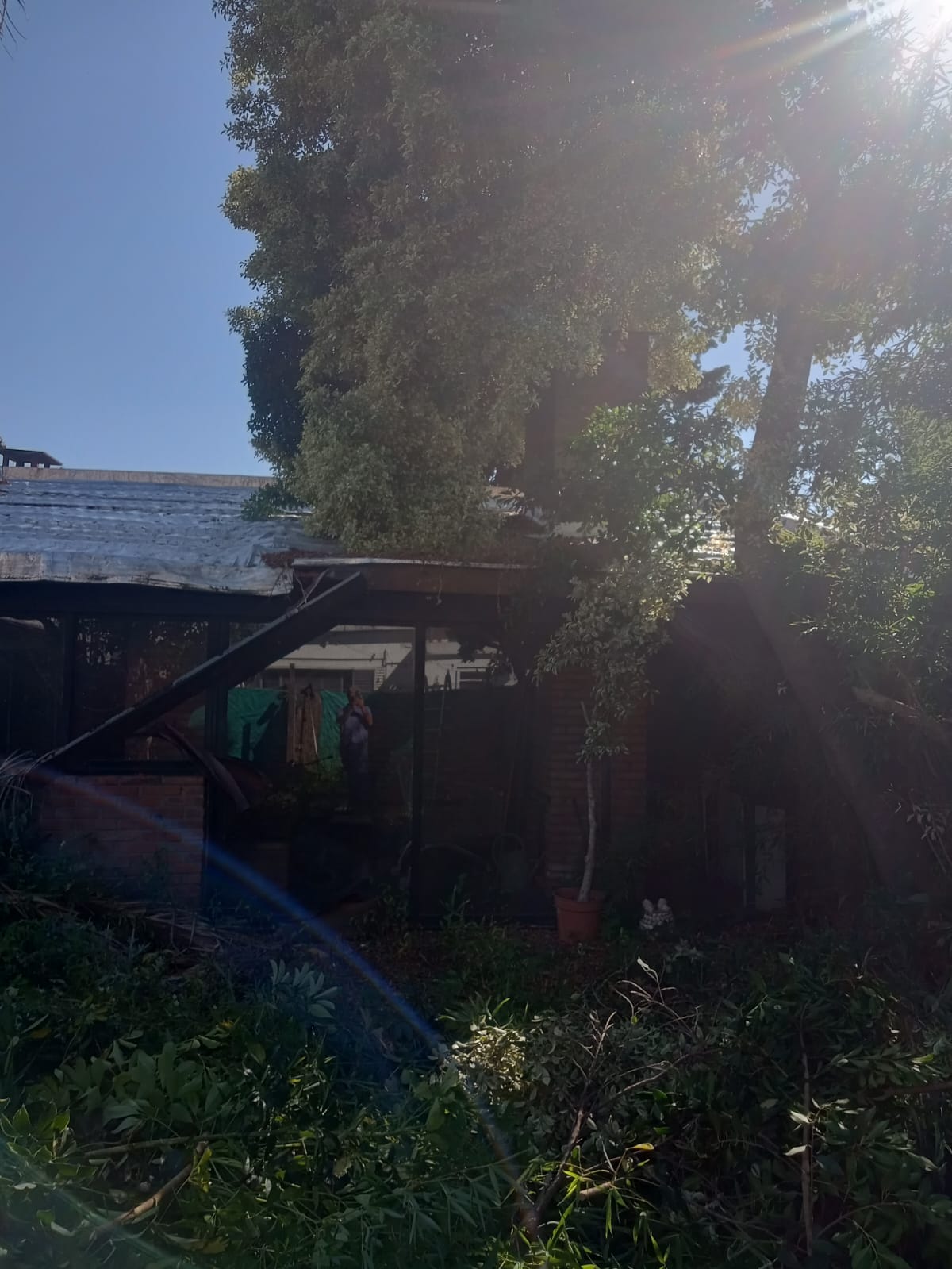 Servicio de Desmalezado y Limpieza de Terrenos en Villa Urquiza Caba BA