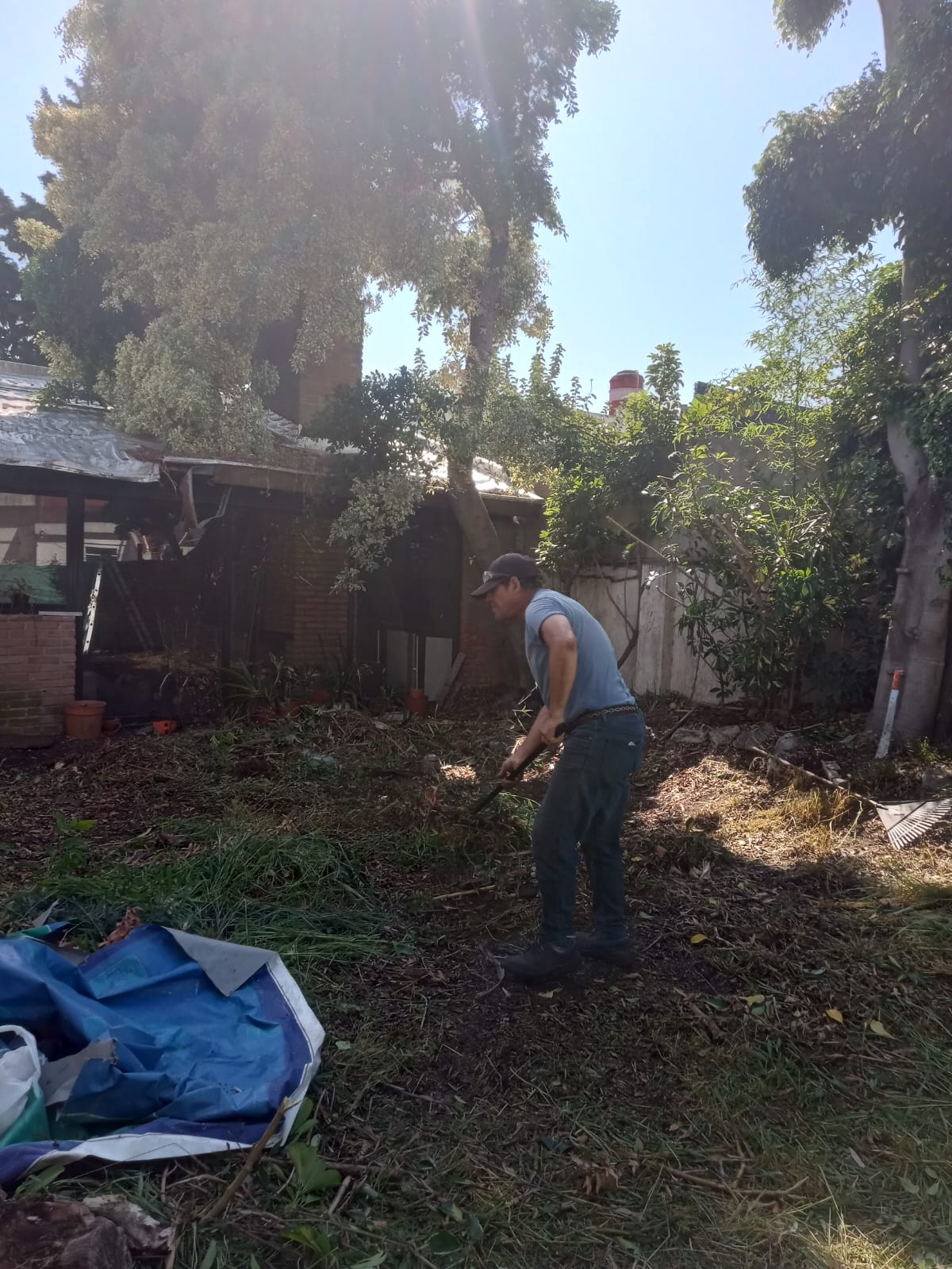 Servicio de Desmalezado y Limpieza de Terrenos en Villa Urquiza