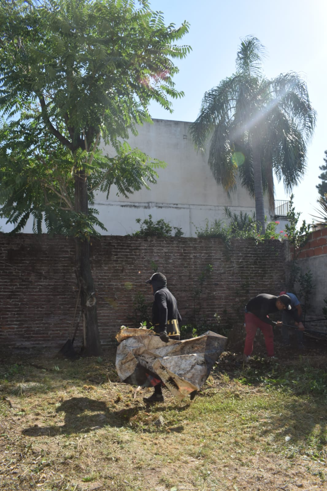 limpieza de terrenos