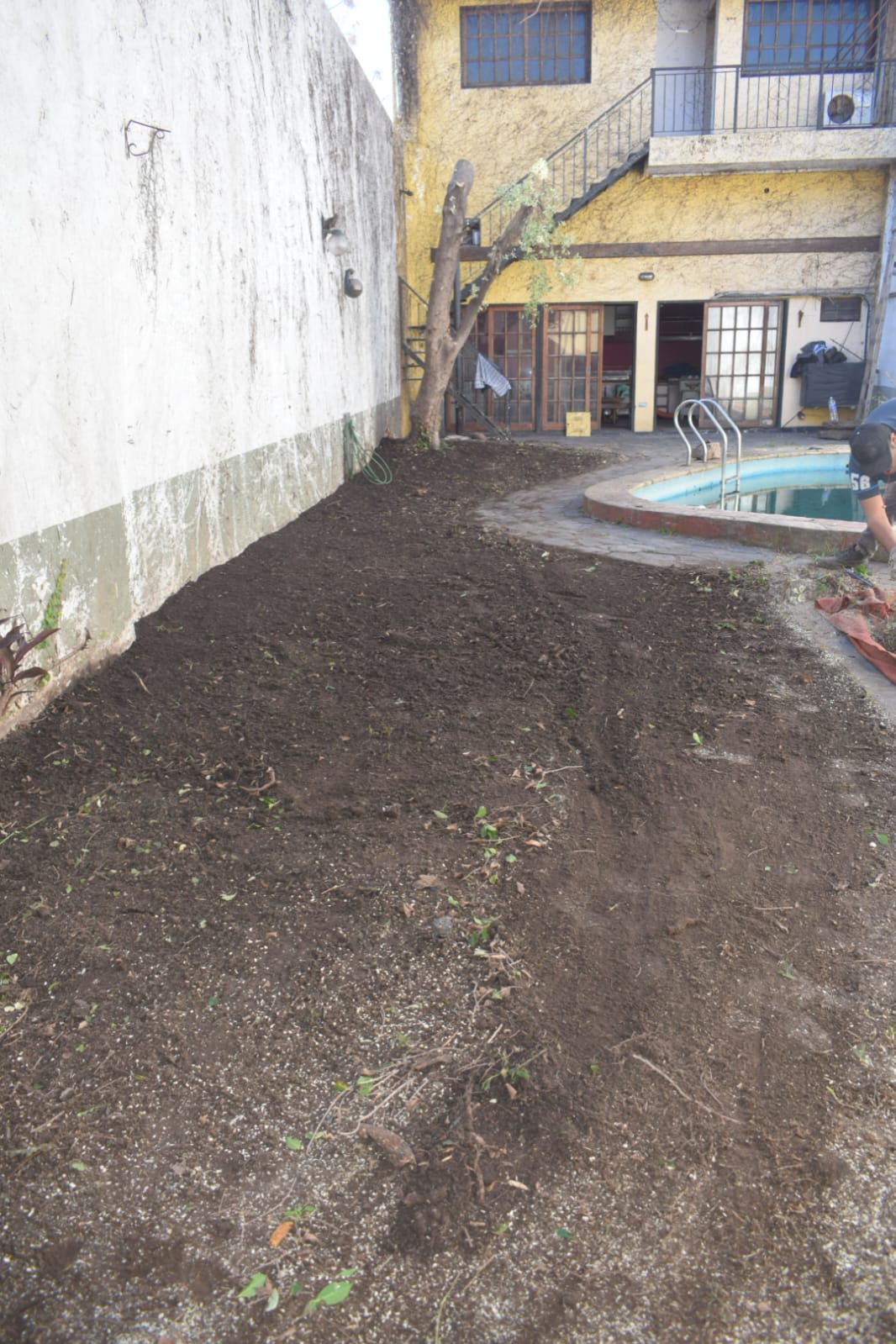 Movimiento de Suelos y Poda de Árbol – Servicio Profesional