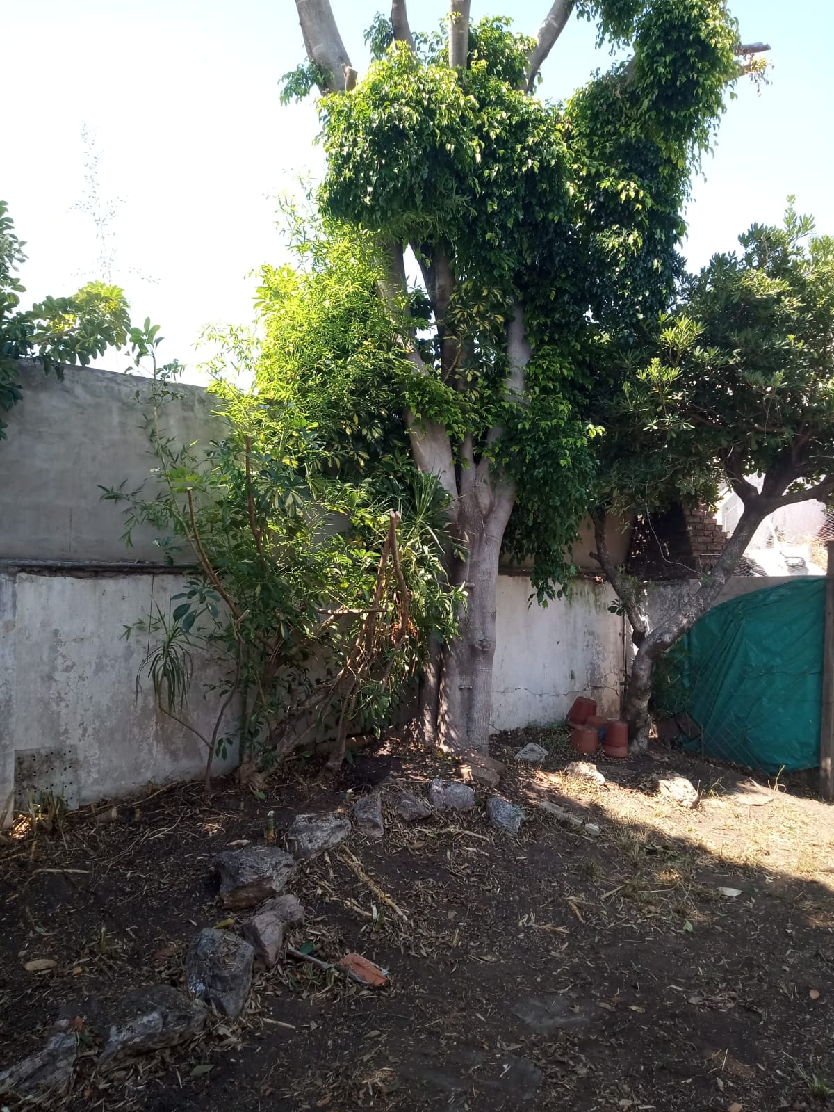 Desmalezado de Terrenos en Villa Urquiza