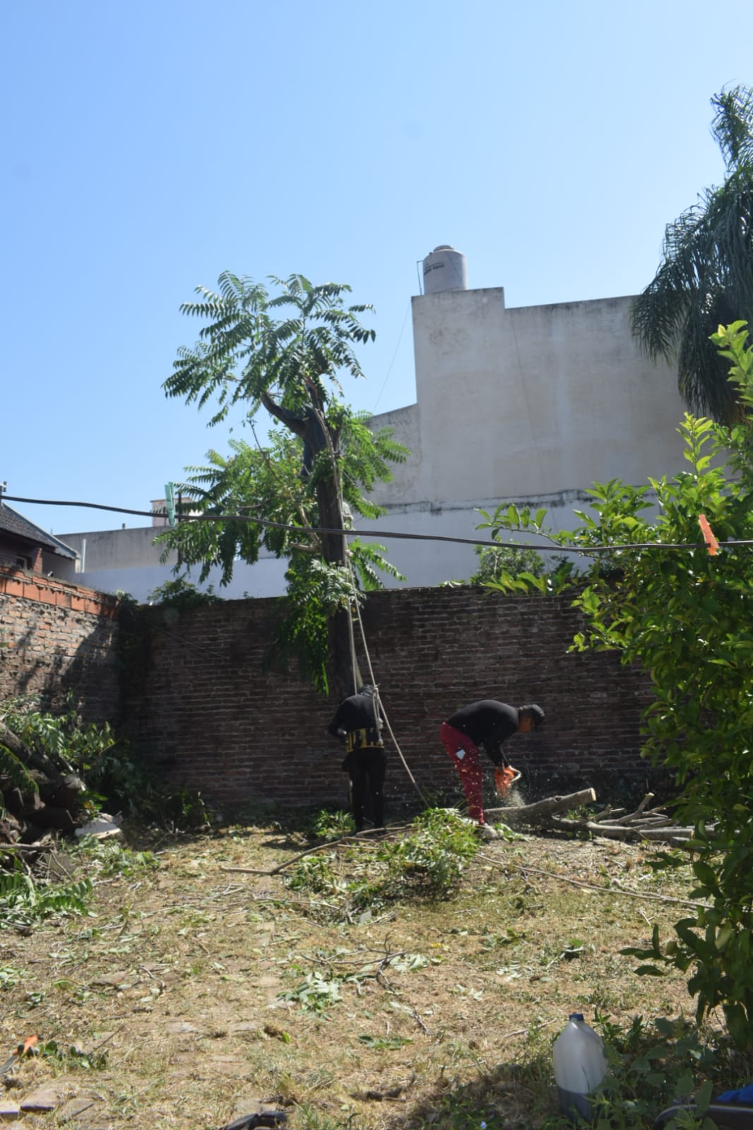 limpieza de terreno en mataderos