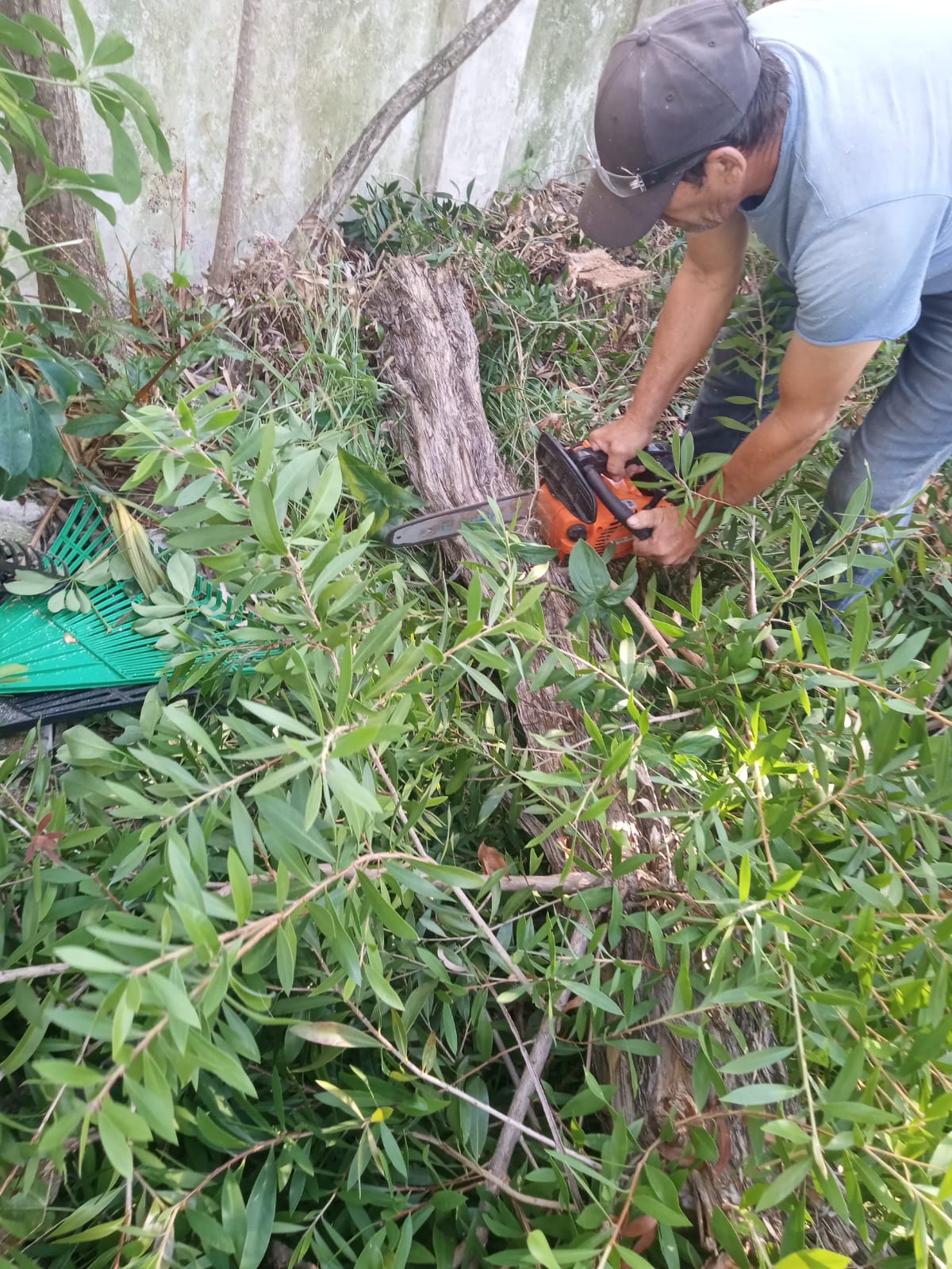 Desmalezado y Limpieza de Terrenos en Villa Urquiza Caba BA