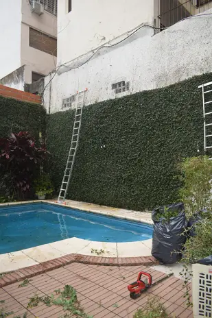 Poda de Enredadera en un Consorcio de Parque Chacabuco