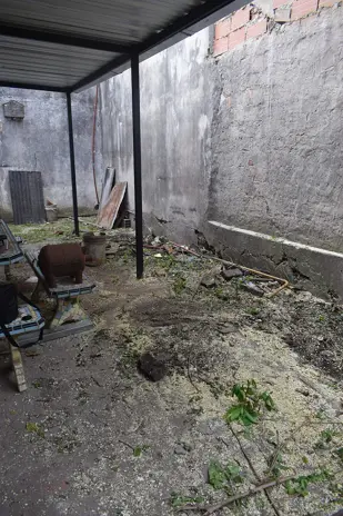 Poda y Corte de 3 Moreras Junto a la Medianera en Ballester, San Martín
