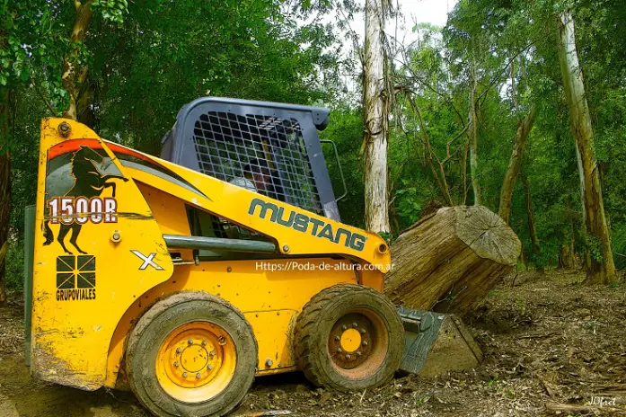 Servicio de Movimiento de Suelos en Villa Godoy Cruz – San Martín – Buenos Aires