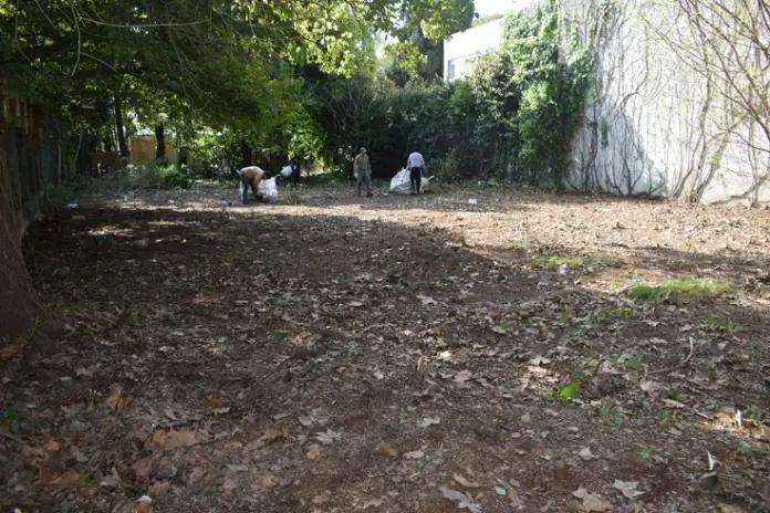¿Necesitás limpiar un terreno? Limpieza con maquinaria y retiro de escombros - imagen 7