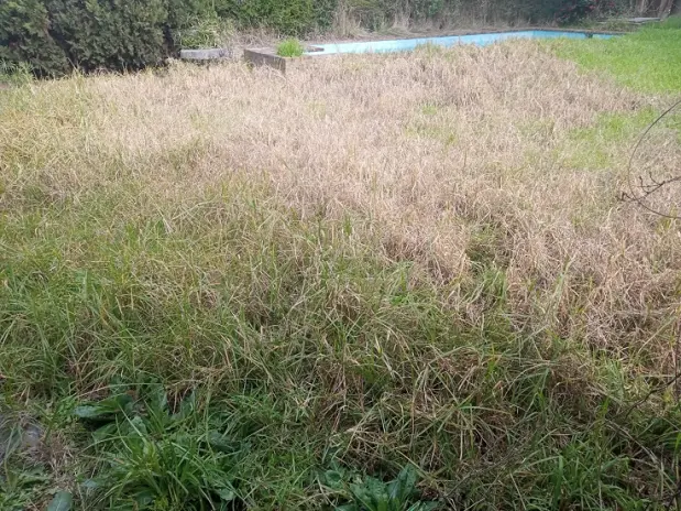 ¿Necesitás limpiar un terreno? Limpieza con maquinaria y retiro de escombros - imagen 9