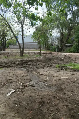 ¿Necesitás limpiar un terreno? Limpieza con maquinaria y retiro de escombros - imagen 11