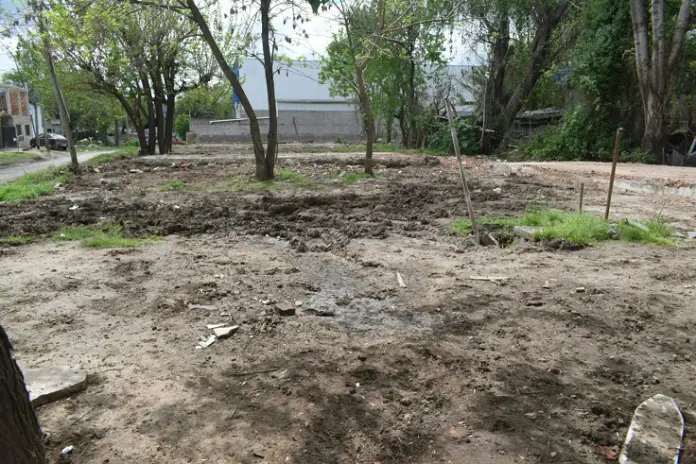 Necesito preparar un terreno para construir: limpieza, nivelación y movimiento de suelos - imagen 2