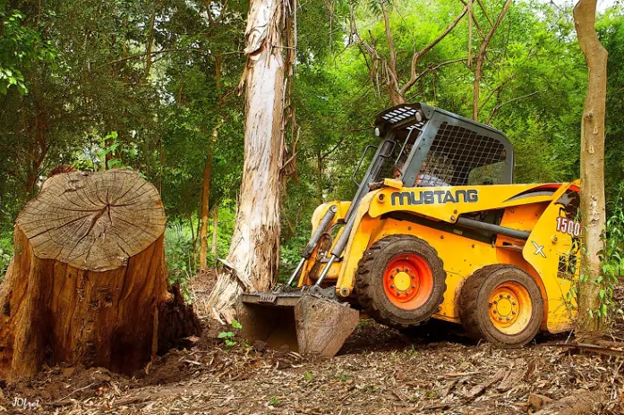 Necesito sacar un tocón o raíces grandes: excavación con minicargadora